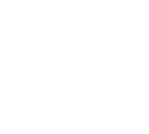 Logo X weiß